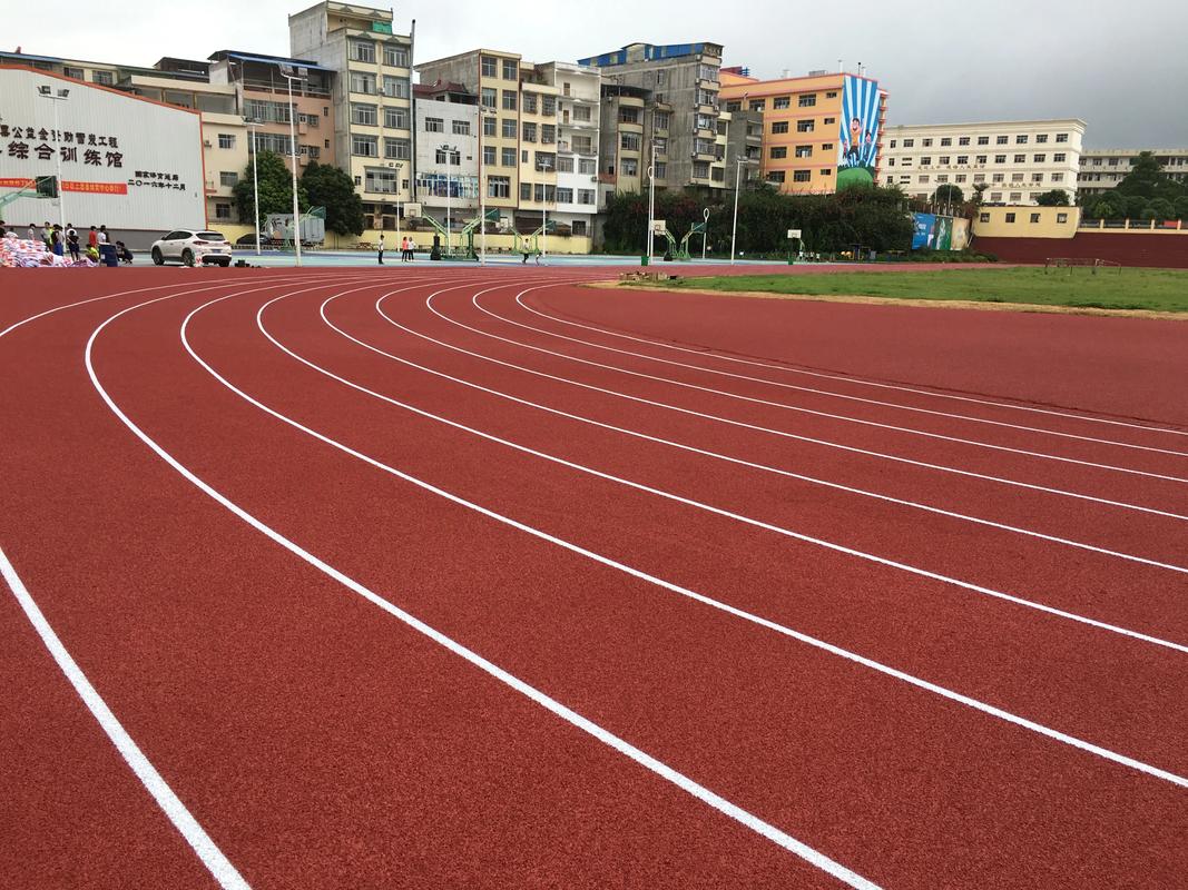 那曲地区橡胶跑道塑胶跑道材料 - 厂家
